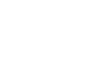 White Logo White Logo